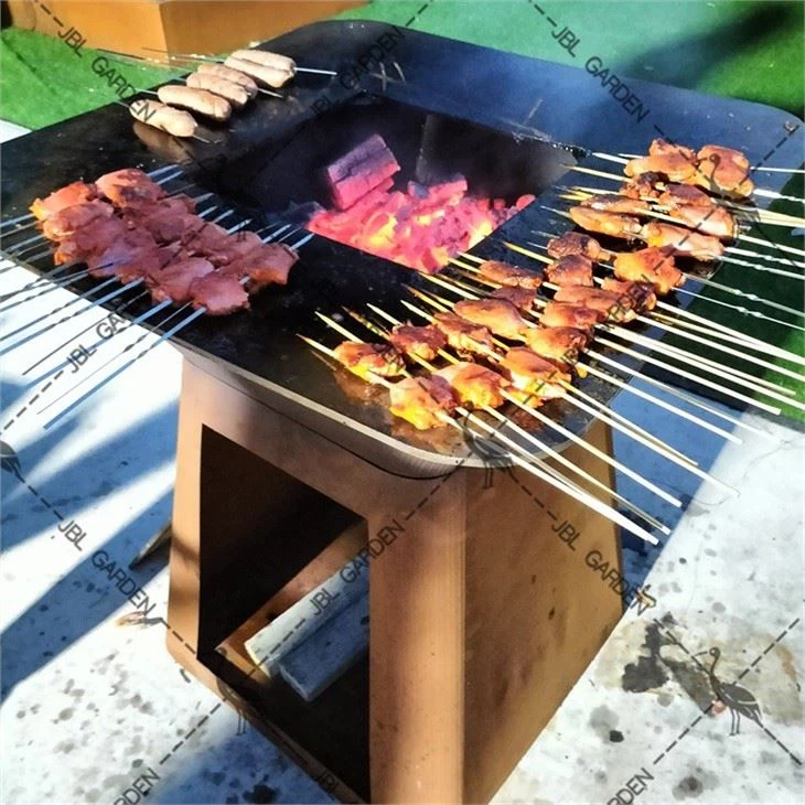 Outdoor Cooking Picnic Bbq