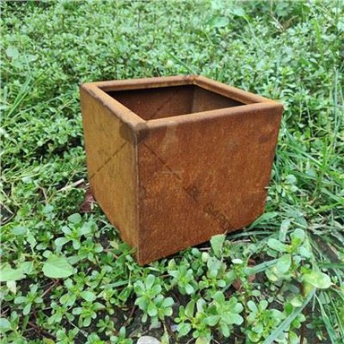 Boîtes de jardin en métal
