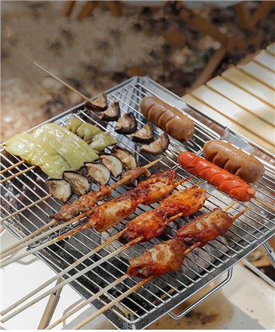 Four à barbecue pliant de camping en acier inoxydable