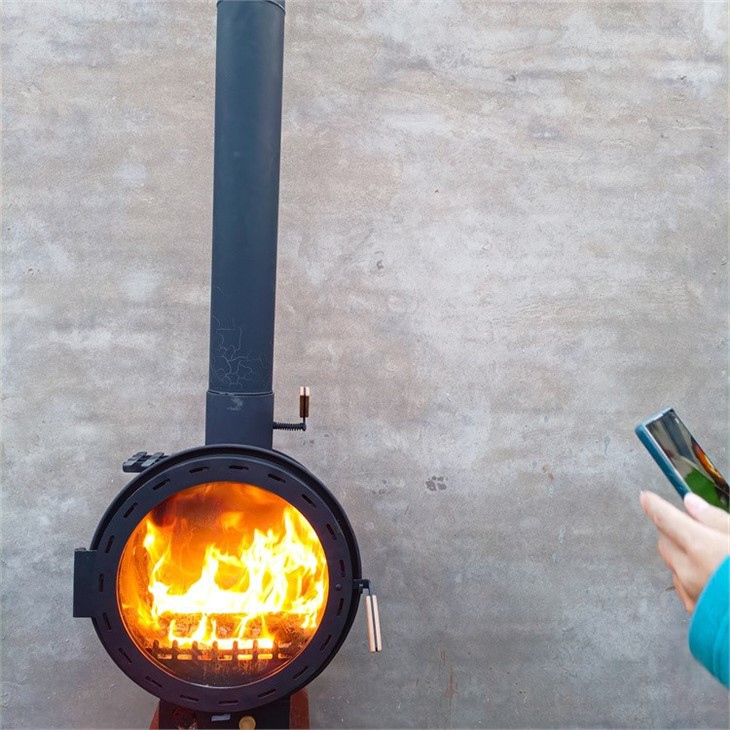 Propane Fireplace Insert