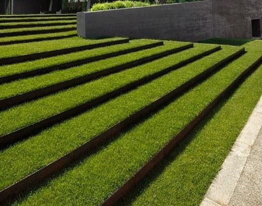 Lawn Root Partition
