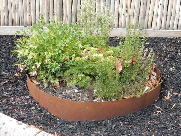Lawn Root Partition