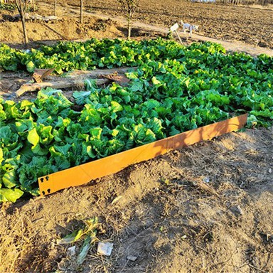 Panneau de séparation en herbe