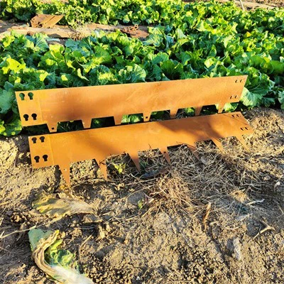 Bordure de pelouse de Corten